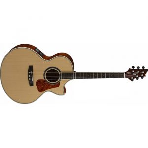 NDX ACOUSTIC GUITARS