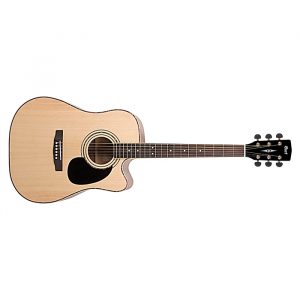 STANDARD ACOUSTIC GUITARS