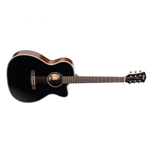 ESSENCE ACOUSTIC GUITARS