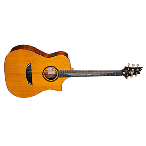 SIGNATURE ACOUSTIC GUITARS