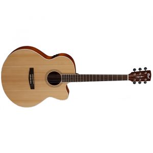 CJ ACOUSTIC GUITARS