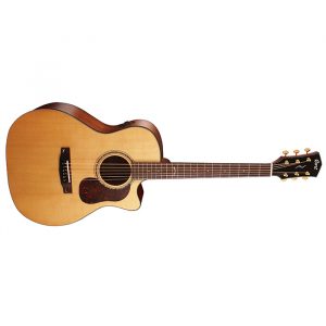 GOLD ACOUSTIC GUITARS