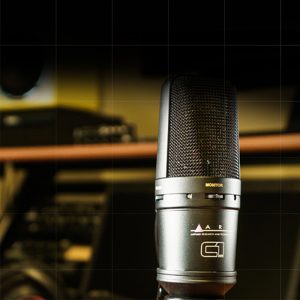 MICROPHONES - ACCESSORIES